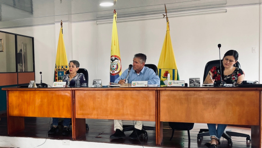 Conozca al alcalde y el nuevo Concejo en Palestina (Caldas)