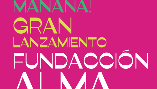 Alma, la fundación que le camina a la educación, lanza su proyecto mañana