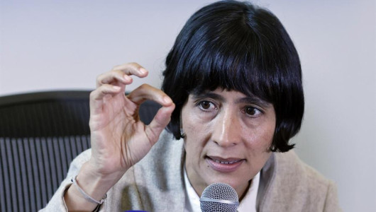 La deforestación se redujo un 26% en el tercer trimestre del año en Amazonía colombiana