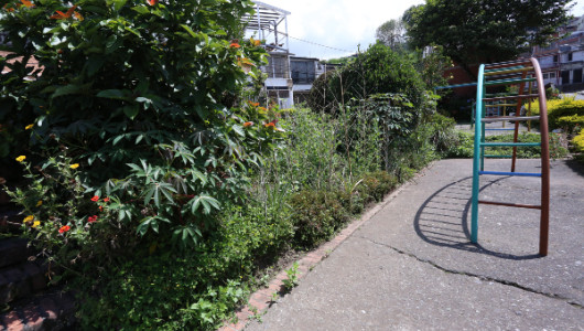 Reclaman por transformación de zona recreativa en el parque del barrio Malabar (Manizales)