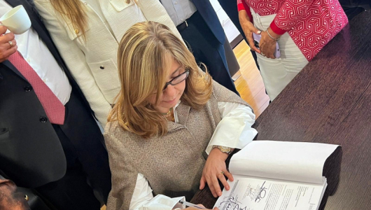 Reforma a la salud, en estado crítico