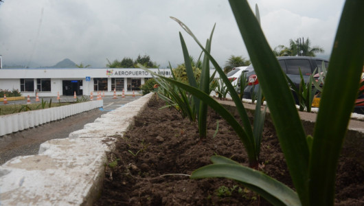 Solicitan mantenimiento a jardines del aeropuerto La Nubia en Manizales