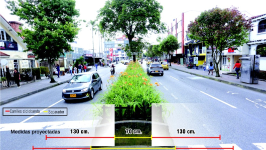 Reducir el separador de la av. Santander (Manizales) afectaría todos los árboles: experto