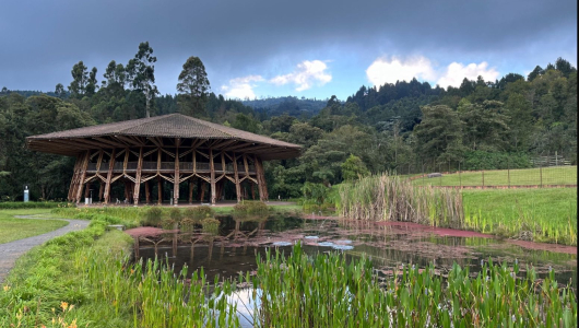 ¿Qué hacer en Manizales? Conozca la oferta turística del Recinto de Pensamiento