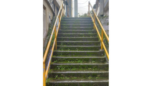 Las escalas que se volvieron verdes y peligrosas, además olvidadas en barrio de Manizales