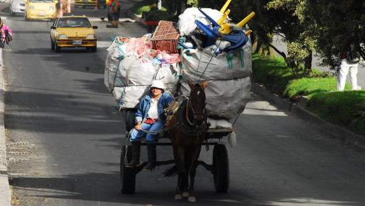 En Caldas falta un municipio por sacar de circulación los vehículos de tracción animal