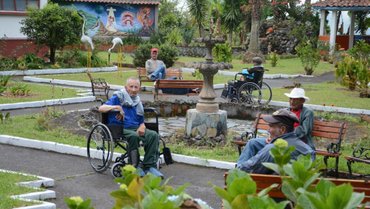 ¿Cómo se reparte la plata por la estampilla pro adulto mayor en municipios de Caldas?