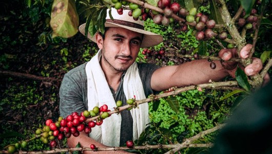 Leonardo Fabio, el neirano que encontró su futuro en el café 