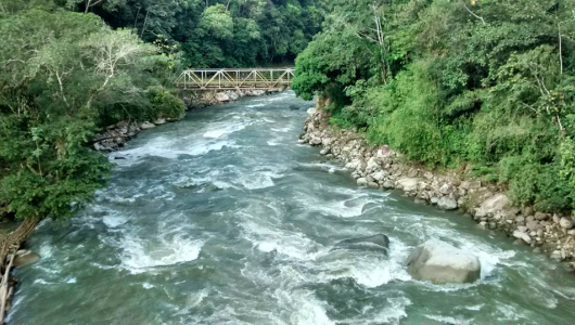 Atención: desde la otra semana habrá cierre en vía departamental de Caldas 