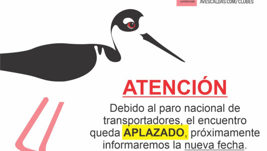 Aplazan encuentro de clubes de avistamiento de aves en Caldas por el paro camionero