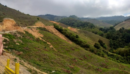 Caldas: comunidades denuncian que cultivos de aguacate Hass erosionan calidad del agua