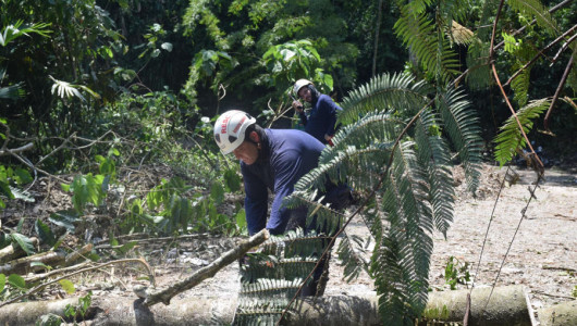 Remoción de escombros y continuación de censos, los trabajos en Samaná tras vendaval 