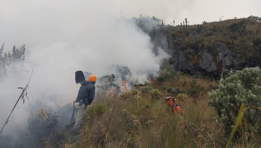 Incendio cerca del cerro Gualí, controlado en un 70%: fuertes vientos dificultan labores