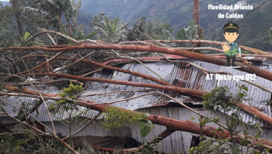 Vendaval afectó corregimiento del oriente de Caldas: árbol cayó sobre vivienda