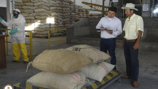 Federacafé anunció nuevo plan para apoyar a las cooperativas de caficultoras que siguen  en mora