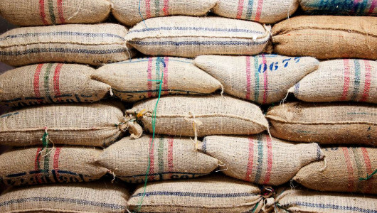 Producción de café en Colombia, la mejor en 29 años: gerente de Federacafé resalta la confiabilidad