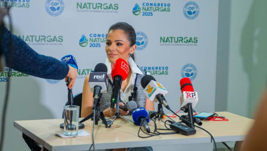 Deudas del Gobierno nacional por concepto de subsidios de gas ascienden a los $803 mil millones al 2024