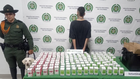 Lo capturan en Manizales con peligroso medicamento veterinario usado para fabricar tusi