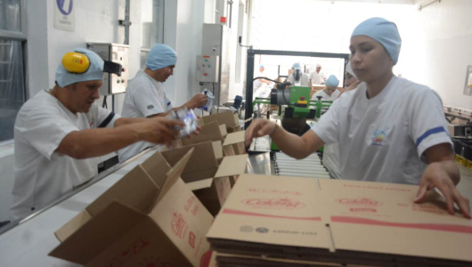 Desempleo en Manizales se ubicó en el 10,2% entre febrero y abril del 2025: se redujo en 1,9 puntos