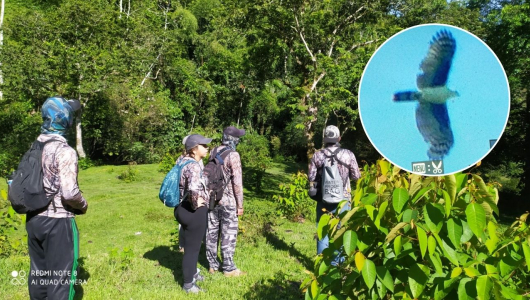 Esta ave fue la sorpresa para un club de avistamiento del Oriente de Caldas durante el Global Big Day