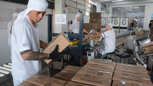 Celema repunta en ventas y aumenta su innovación: estos son algunos de los retos para el segundo semestre