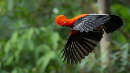 Enfocan la belleza natural de Colombia: las 31 mejores fotos del XVIII Concurso de Fotografía Ambiental