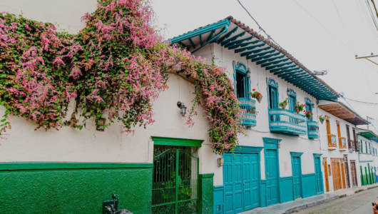 La 'mina de plata' que Caldas aún no aprovecha: un tesoro económico podría ser el camino del progreso