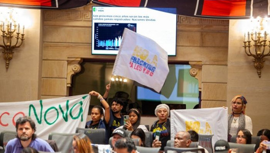 Proyectos liderados por congresistas caldenses en último año legislativo: Les apuestan a la cultura y el agro
