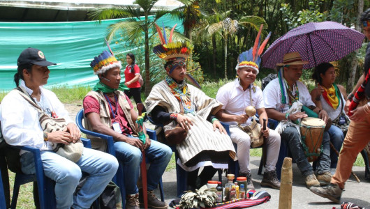 Resistencia cultural: Estrenan Cabildo Indígena Universitario para fortalecer tradiciones en Manizales