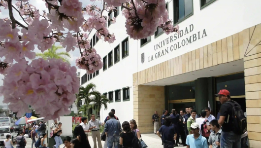 Con nueva clínica, este departamento del Eje Cafetero se consolida como referente en medicina veterinaria