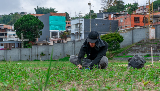 Obras en el estadio Ricardo Tito González: mejoramiento para un fútbol de calidad en Caldas, ya nace la grama