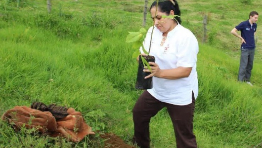 Un jardín de recuerdos: participe en la sembratón en honor a la enfermera Cándida Rosa Castañeda Valencia
