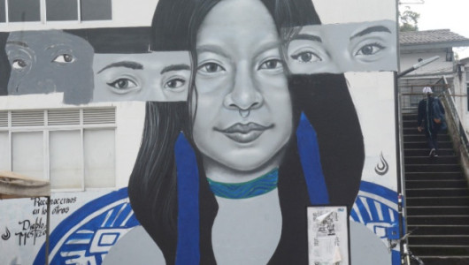 Estudiantes de la Universidad de Caldas resaltan los espacios comunes y evidencian el mal estado de La Micaela