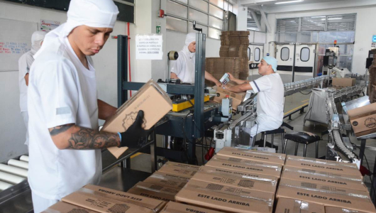 Desempleo en Manizales sigue bajando, informalidad sigue subiendo, estas son las cifras octubre-diciembre 2025