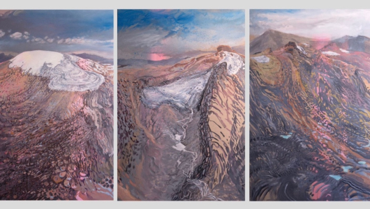 Exposición en Manizales documenta la pérdida de los glaciares colombianos