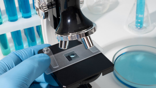 En capital colombiana descubren genoma que revela la presencia de sífilis en América hace 5 mil 500 años