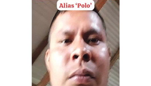 Neutralizan a alias Polo, cabecilla  de disidencias de Iván Mordisco