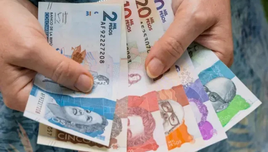 Gastos hormiga, de grano en grano se aumenta el gasto: aprenda a identificarlos y reducirlos, es un año duro