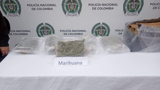 Aceptaron cargos por estupefacientes en Neira y Viterbo