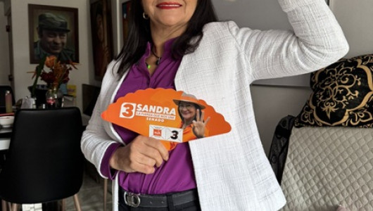 El partido de las Farc pierde su representación legislativa: sale del Congreso de la República