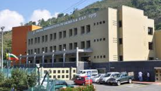 Chec aprueba liberación de dividendos de las ganancias de la empresa 2025: alcanzan los $166 mil 178 millones 