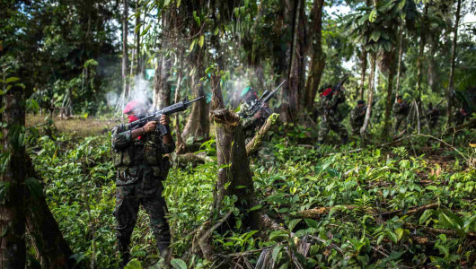 Cinco menores fueron rescatados en la selva colombiana por el Ejército, huían del reclutamiento de las Farc