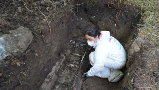 En el Día Internacional de la Mujer: reconocimiento a buscadoras de desaparecidas en Colombia