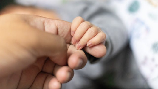 Las células inmunitarias impactan en la fertilidad, esto es lo que dice la ciencia: ¿qué se sabe?