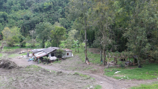 En municipio de Caldas desmantelan sitio donde operaba crematorio de mascotas