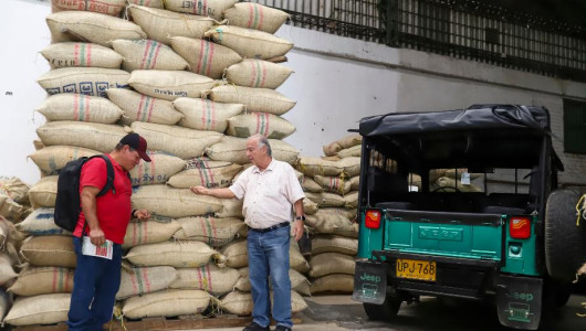 Se confirman los pronósticos de baja cosecha de café en Colombia, la producción se redujo en 36,14% en febrero