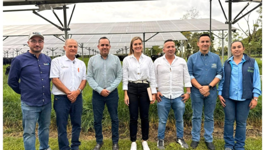 Energía solar llega a la ganadería en zona rural del Eje Cafetero
