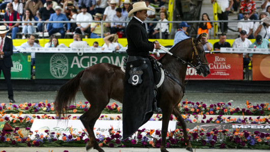 Visitantes a gusto en Manizales: "Hay buenas competencias, buenos caballos y ha sido una Feria extraordinaria"