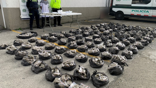 Capturan a Tuto, clave en el microtráfico en municipio del Eje Cafetero: 77 kilogramos de droga incautados