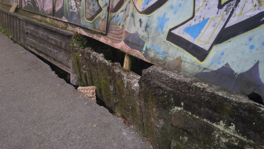 Peligro en una avenida de Manizales: peatones en riesgo por deterioro en acera, un muro se separa del andén 